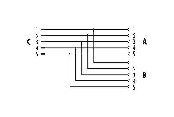 Pin assignment plans M12 Twin distributors, Y-distributor, male connector - 2 female connector, Contacts: 5, unshielded, pluggable, IP68, UL 2238