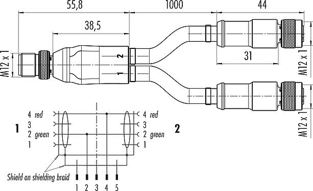 Scale drawing M12 Male cable splitter - 2 female cable connectors, Contacts: 2, shielded, moulded on the cable, IP67, Profibus, PUR, violet, 2 x 0.25 mm², 2 m