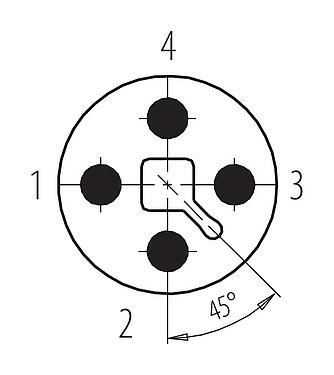 联系安排 (外掛程式側) M12 直头针头电缆连接器, 极数: 4, 5.0-8.0mm, 可接屏蔽, 螺钉接线, IP67, UL 2238, 鸢尾花