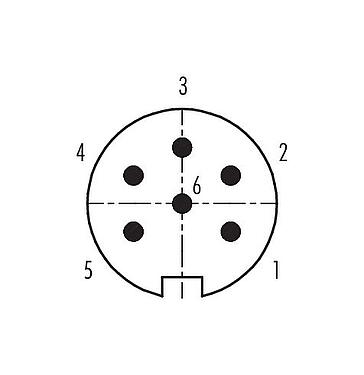 Contact arrangement (Plug-in side) Push Pull Male panel mount connector, Contacts: 6, unshielded, solder, IP67, M21x1,0, Rear mounting