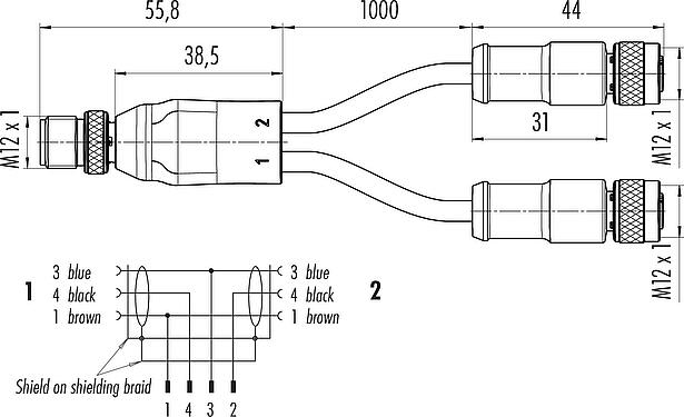 Scale drawing M12 Male cable splitter - 2 female cable connectors, Contacts: 4/3, shielded, moulded on the cable, IP68, PUR, black, 3 x 0.34 mm², 1 m