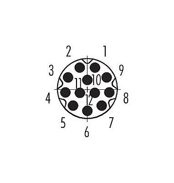 Contact arrangement (Plug-in side) 86 6119 1100 00012 - M8 Male panel mount connector, Contacts: 12, unshielded, THT, IP67, UL, screwable from the front