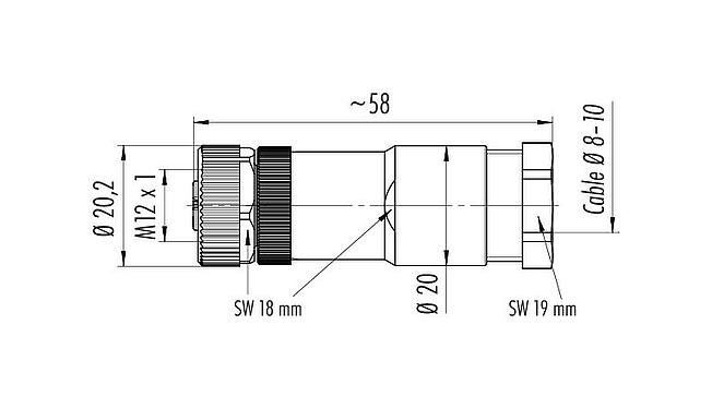 比例图 99 0630 19 04 - M12 直头孔头电缆连接器, 极数: 4, 8.0-10.0mm, 非屏蔽, 螺钉接线, IP67, UL, VDE