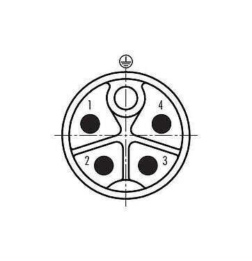 联系安排 (外掛程式側) 99 0699 37 05 - M12 直头针头电缆连接器, 极数: 4+PE, 8.0-13.0mm, 非屏蔽, 螺钉接线, IP67, UL 2237正在准备中, 带PE接口