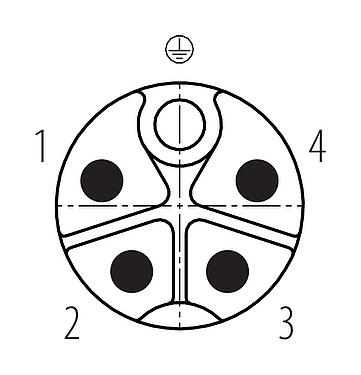 联系安排 (外掛程式側) M12 直头针头电缆连接器, 极数: 4+PE, 8.0-13.0mm, 非屏蔽, 螺钉接线, IP67, UL 2237正在准备中, 带PE接口