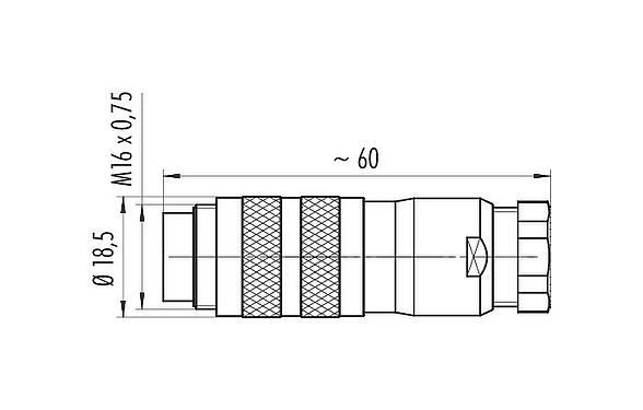 比例图 M16 直头针头电缆连接器, 极数: 8 (08-a), 6.0-8.0mm, 可接屏蔽, 压接(压接触点必须单独订购), IP68, UL 2238, 符合AISG