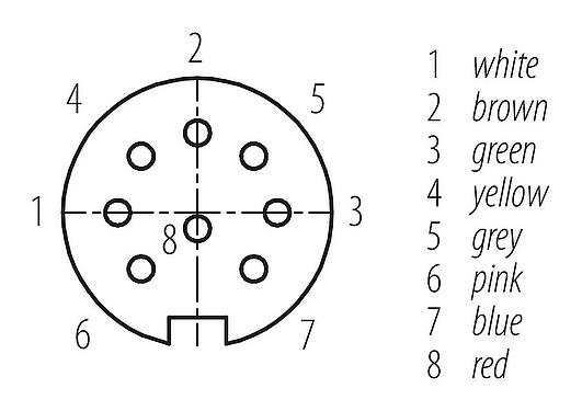 Contact arrangement (Plug-in side) M16 Female cable connector, Contacts: 8, unshielded, moulded on the cable, IP67, PUR, black, 8 x 0.25 mm², 2 m