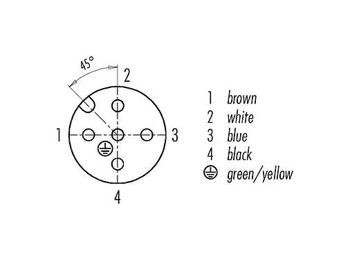Contact arrangement (Plug-in side) 77 3434 0000 80005-1000 - M12 Female angled connector, Contacts: 5, unshielded, moulded on the cable, IP69K, UL, PUR, orange, 5 x 0.34 mm², for welding applications, 10 m
