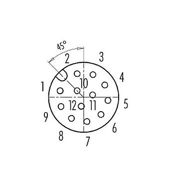 联系安排 (外掛程式側) M12 直头孔头电缆连接器, 极数: 12, 6.0-8.0mm, 非屏蔽, 焊接, IP67, UL 2238