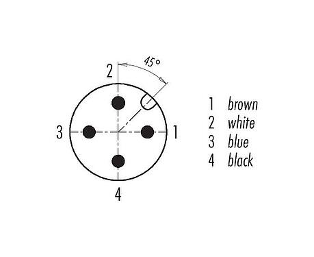 联系安排 (外掛程式側) 77 3734 3729 40404-0200 - M12/M12 连接线束弯角孔头电缆连接器, 极数: 4, 非屏蔽, 预铸电缆, IP69K, Ecolab, 符合FDA, 特殊TPE, 灰色, 4x0.34 mm², 食品工业, 不锈钢, 2m