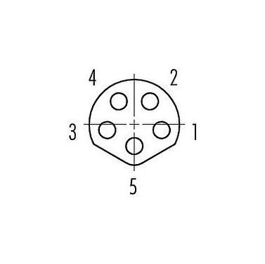 Contact arrangement (Plug-in side) M8 Female panel mount connector, Contacts: 5, shieldable, THT, IP67, UL 2238, M10x0.75, Rear mounting, potted