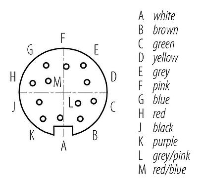 Contact arrangement (Plug-in side) 77 6434 0000 50712-0200 - M16 Female angled connector, Contacts: 12, unshielded, moulded on the cable, IP68, PUR, black, 12 x 0.25 mm², 2 m