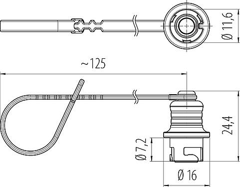 Scale drawing Protecting cap, IP67 plugged and locked, with retaining strap