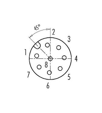联系安排 (外掛程式側) 99 0486 12 08 - M12 直头孔头电缆连接器, 极数: 8, 6.0-8.0mm, 非屏蔽, 螺钉接线, IP67, UL, PG 9