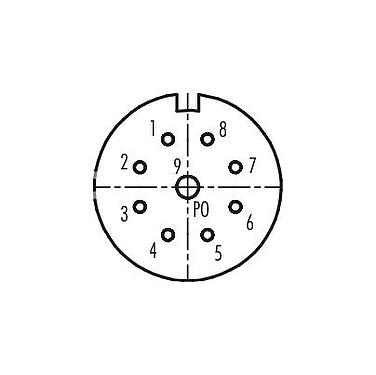 Contact arrangement (Plug-in side) M23 Female cable connector, Contacts: 9, 6.0-10.0 mm, unshielded, solder, IP67