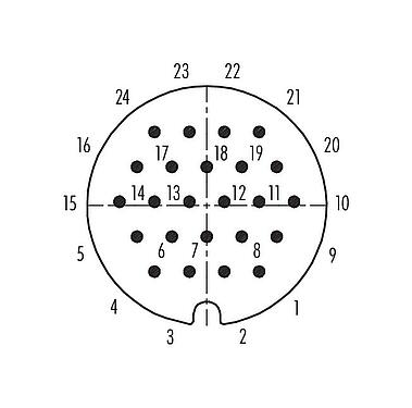 联系安排 (外掛程式側) 99 0739 00 24 - RD30 针头法兰座, 极数: 24, 非屏蔽, 焊接, IP65