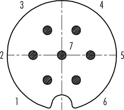 Contact arrangement (Plug-in side) M25 Male cable connector, Contacts: 7, 5.0-8.0 mm, shieldable, solder, IP40