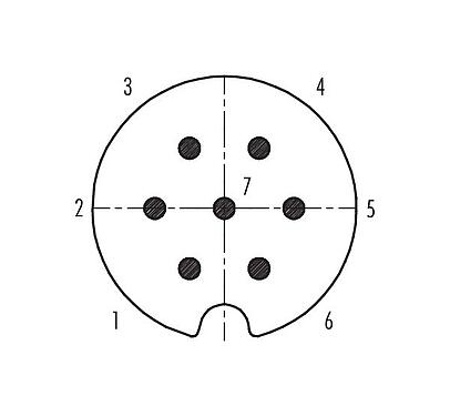 Polbild (Steckseite) 09 0041 00 07 - M25 Kabelstecker, Polzahl: 7, 5,0-8,0 mm, schirmbar, löten, IP40
