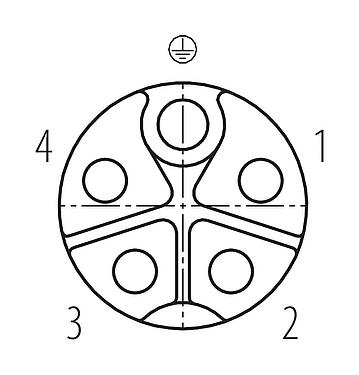 联系安排 (外掛程式側) M12 直头孔头电缆连接器, 极数: 4+PE, 8.0-13.0mm, 非屏蔽, 螺钉接线, IP67, UL 2237正在准备中, 带PE接口