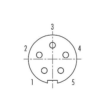 联系安排 (外掛程式側) 09 4916 015 05 - Push Pull 孔头法兰座, 极数: 5, 非屏蔽, 焊接, IP67
