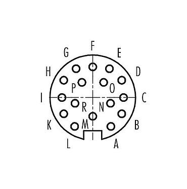 Contact arrangement (Plug-in side) 99 2038 00 16 - M16 Female cable connector, Contacts: 16, 4.0-6.0 mm, shieldable, solder, IP40