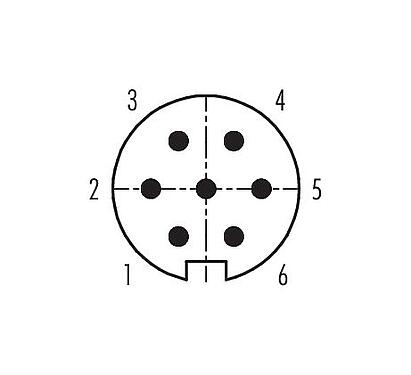 Disposition des contacts (Côté plug-in) 99 0621 00 07 - Baïonnette Connecteur mâle, Contacts: 7, 3,0-6,0 mm, non blindé, souder, IP40