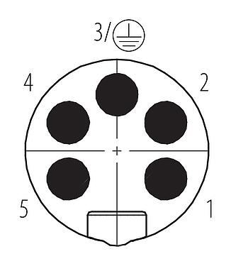 联系安排 (外掛程式側) 7/8" 直头针头电缆连接器, 极数: 4+PE, 12.0-14.0mm, 非屏蔽, 螺钉接线, IP67, UL 2238, VDE