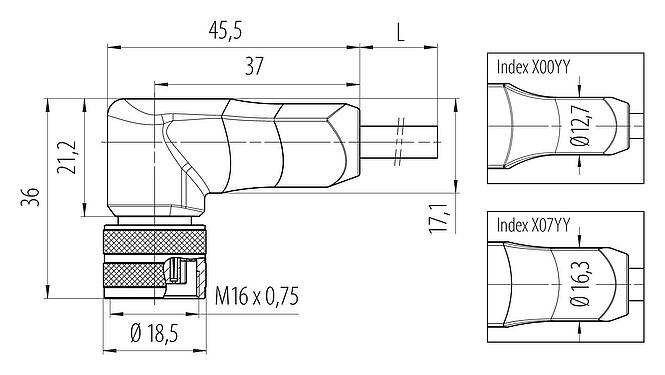 Scale drawing M16 Female angled connector, Contacts: 12, shielded, moulded on the cable, IP67, PUR, black, 12 x 0.25 mm², 5 m