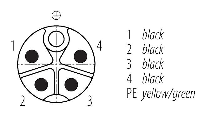 Contact arrangement (Plug-in side) 76 0245 0136 00035-0200 - M12 Male panel mount connector, Contacts: 5, unshielded, single wires, IP68, UL 2238, M16x1.5