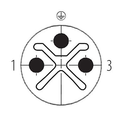 联系安排 (外掛程式側) M12 直头针头电缆连接器, 极数: 2+PE, 6.0-8.0mm, 非屏蔽, 螺钉接线, IP67, UL 2238