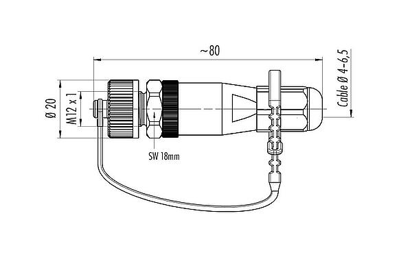 比例图 M12 直头针头电缆连接器, 极数: 4, 4.0-6.5mm, 非屏蔽, 螺钉接线, IP68/IP69K, 户外应用, UV-Beständig
