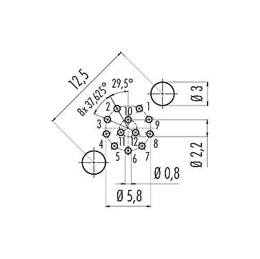 Conductor layout M12 Male panel mount connector, Contacts: 12, shieldable, THT, IP68, UL 2238, PG 9, Rear mounting, potted