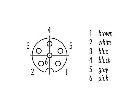 Contact arrangement (Plug-in side) 76 6218 1111 00006-0200 - M8 Female panel mount connector, Contacts: 6, unshielded, single wires, IP67, UL, M10x0.75