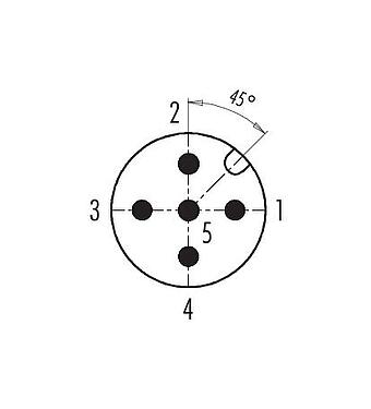 Contact arrangement (Plug-in side) 99 0437 82 05 - M12 Male cable connector, Contacts: 5, 4.0-6.0 mm, unshielded, screw clamp, IP67, UL