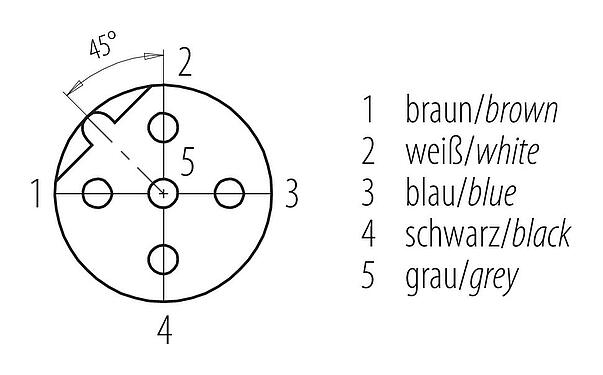 Contact arrangement (Plug-in side) M12 Female cable connector, Contacts: 5, unshielded, moulded on the cable, IP68/IP69K, UL 2238, PVC, grey, 5 x 0.34 mm², 5 m