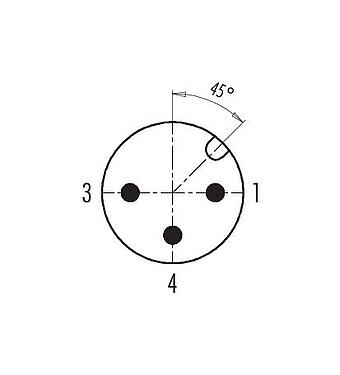 Contact arrangement (Plug-in side) 99 0429 158 04 - M12 Male cable connector, Contacts: 3, 6.0-8.0 mm, unshielded, screw clamp, IP67, UL