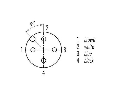 联系安排 (外掛程式側) 77 3734 0000 20404-0200 - M12 弯角孔头电缆连接器, 极数: 4, 非屏蔽, 预铸电缆, IP69K, UL, Ecolab, PVC, 灰色, 4x0.34 mm², 不锈钢, 2m