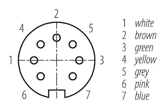 Contact arrangement (Plug-in side) M16 Female cable connector, Contacts: 7 (07-b), unshielded, moulded on the cable, IP67, PUR, black, 7 x 0.25 mm², 5 m