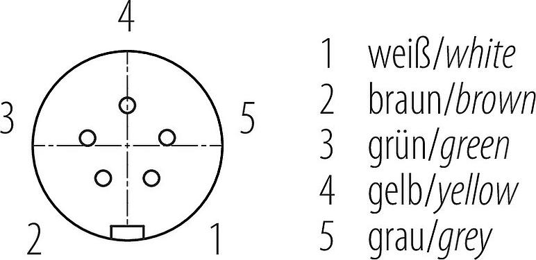 Contact arrangement (Plug-in side) Snap-In Female angled connector, Contacts: 5, 6.0-8.0 mm, unshielded, solder, IP67