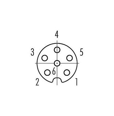 联系安排 (外掛程式側) 86 6618 1120 00006 - M8 孔头法兰座, 极数: 6, 可接屏蔽, THT, IP67, UL, M10x0.75, 後壁安裝